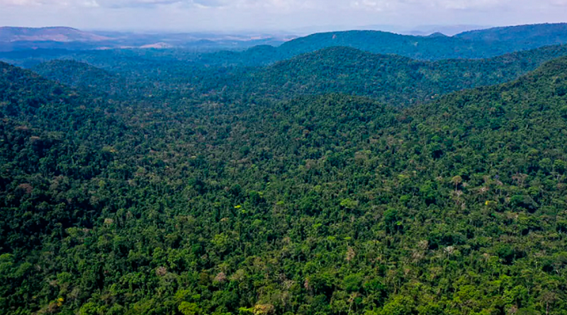 vice-presidente_da_republica_hamilton_mourao_carajas_missoes_diplomaticas_a_amazonia_oriental0809210163