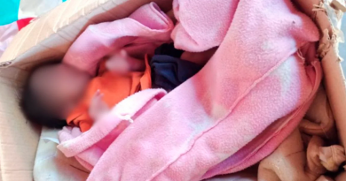 Design-sem-nome-64-1