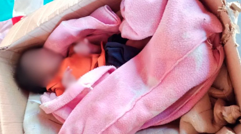 Design-sem-nome-64-1