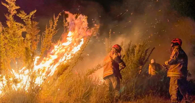incendio_parque_itatiaia_2_160624-800x445