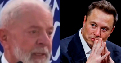 lula x elon