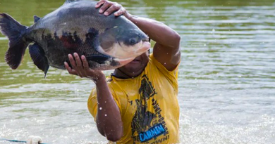 tambaqui amazônia.jpg