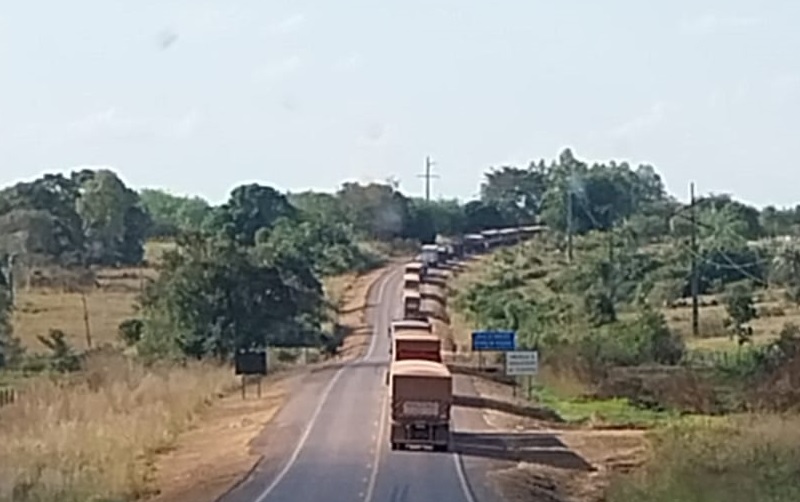 O Acidente causou congestionamento na rodovia. (Foto:Adelar Belling /Via WhatsApp Jornal Folha do Progresso )