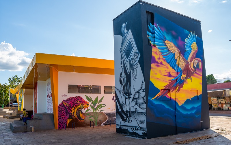 Arte em Cores  - Foto Ivan Oliveira - Pinturas coletivas em Canaã dos Carajás