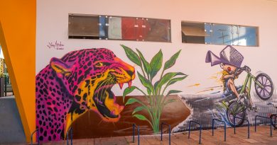 Arte em Cores 4 - Foto Ivan Oliveira - Pinturas coletivas em Canaã dos Carajás_02