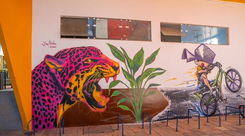 Arte em Cores 4 - Foto Ivan Oliveira - Pinturas coletivas em Canaã dos Carajás_02