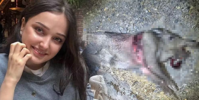 Carro colide com javali em rodovia, capota e mata mulher de 30 anos que voltava de férias na Turquia — Foto: Reprodução/X