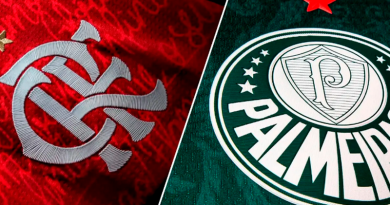 flamengo e palmeiras