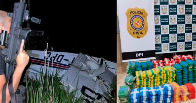 Avião monomotor cai no interior do Pará com mais de 300 kg de drogas — Foto: Divulgação