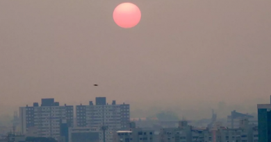 Foto: ROSINARA FERREIRA