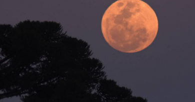 WhatsApp-Image-2024-08-19-at-13.44.19-768x512