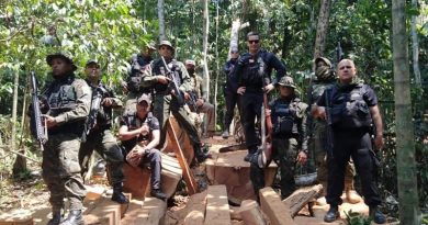 curupira castanheira