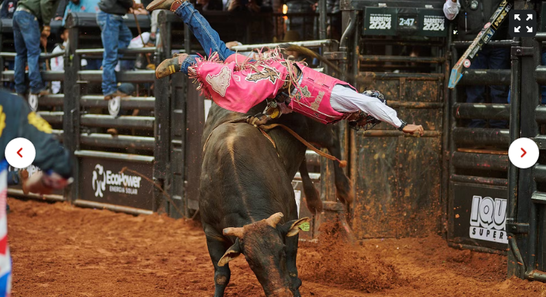 Fotos da Final Internacional da montaria em touros da Festa do Peão de Barretos 2024 — Foto: Érico Andrade/g1