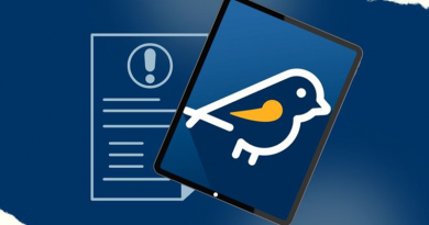 eleições 2024- pardal