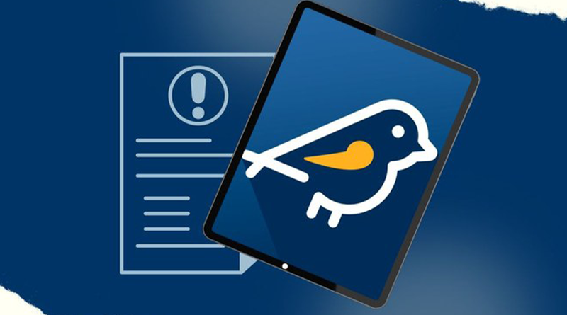 eleições 2024- pardal