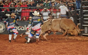 O mexicano Álvaro Aguillar derrotado na final do Rodeio Internacional de Barretos pelo touro Cobiçado — Foto: Érico Andrade/g1
