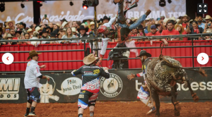 Fotos da Final Internacional da montaria em touros da Festa do Peão de Barretos 2024 — Foto: Érico Andrade/g1
