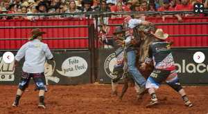 Fotos da Final Internacional da montaria em touros da Festa do Peão de Barretos 2024 — Foto: Érico Andrade/g1
