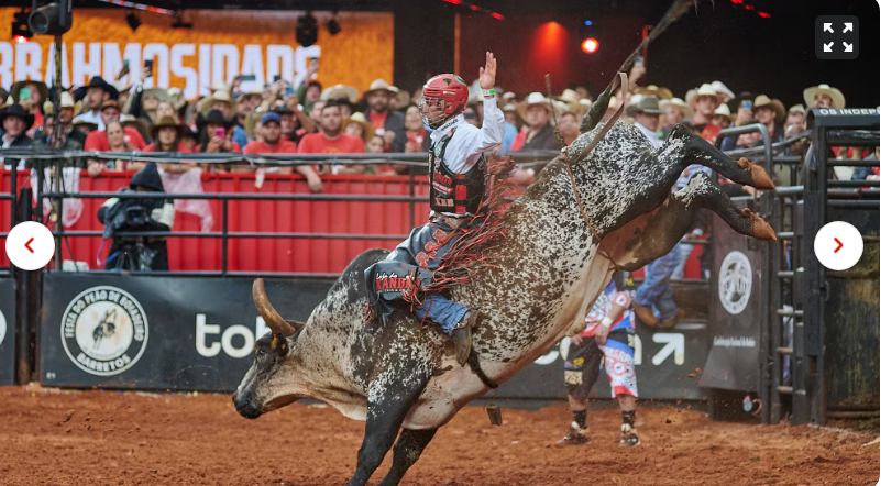 Fotos da Final Internacional da montaria em touros da Festa do Peão de Barretos 2024 — Foto: Érico Andrade/g1