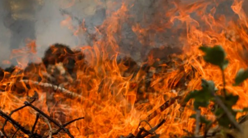 Inpe monitora queimadas no Brasil (Foto: Agência Brasil)