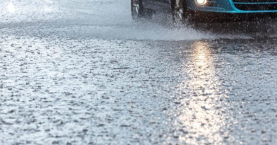 20152049_45787_GD_resized