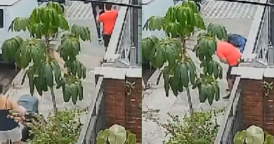 Novo_Projeto_68_66ef29d63a595