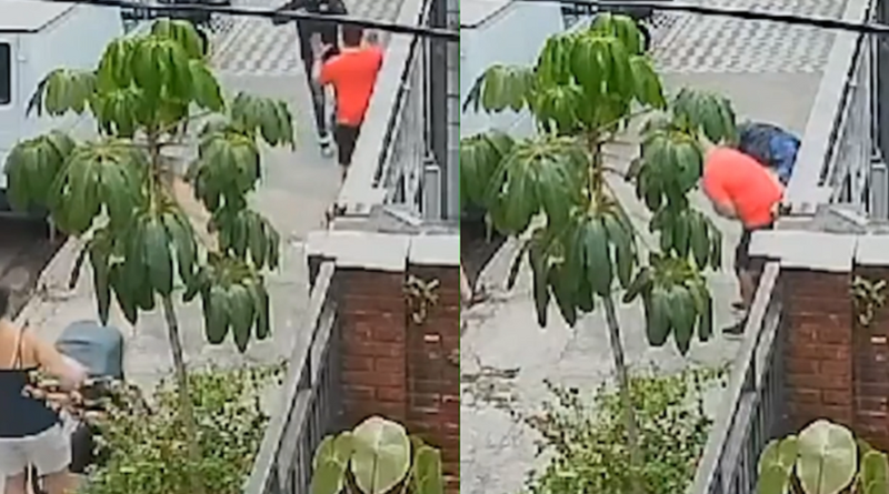 Novo_Projeto_68_66ef29d63a595