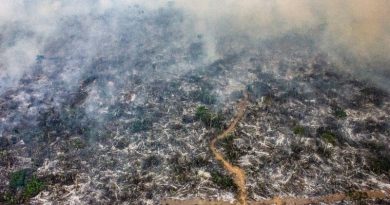 Focos de incêndio próximo de reserva ecológica do Mapinguari, no Amazonas. Foto: Fábio Bispo/InfoAmazonia