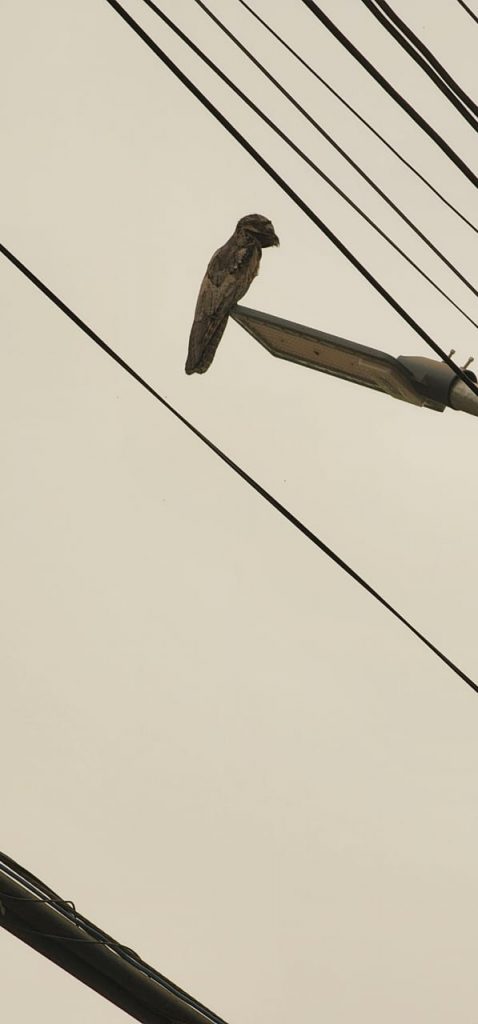 Skype_Picture_2024_09_09T17_42_47_200Z