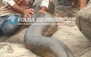 WhatsApp Image 2024-09-16 at 13.28.34 (1) (1)