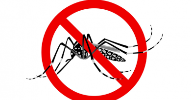 dengue
