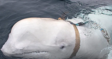 fotos-Recuperado-Recuperado