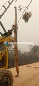 imgpsh_fullsize_anim (1)