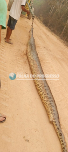 imgpsh_fullsize_anim (2)