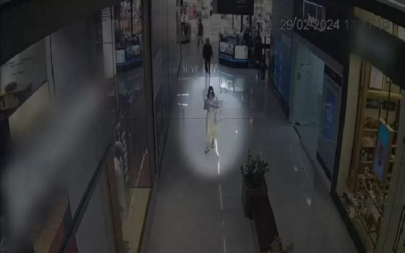Anic de Almeida Peixoto Herdy momentos antes de desaparecer Imagem: Reprodução/TV Globo