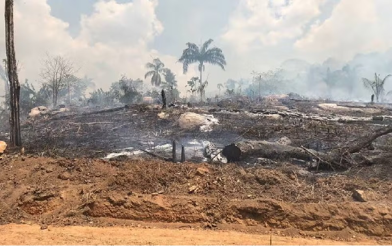 Número de focos de calor e queimadas é 200% maior que o mesmo período do ano passado. — Foto: Divulgação