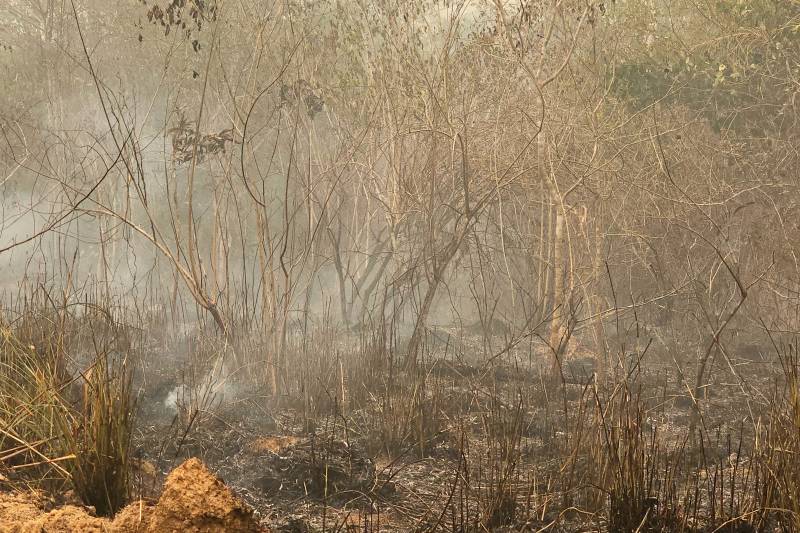 A área incendiada fica em uma fazenda, na zona rural de Novo Progresso Foto: Ascom / Segup
