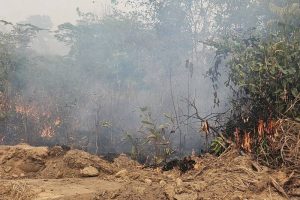 A área incendiada fica em uma fazenda, na zona rural de Novo Progresso Foto: Ascom / Segup