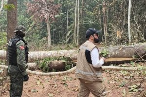 up_ag_59610_5221b26b-98db-4f23-4925-cb8e410056b4