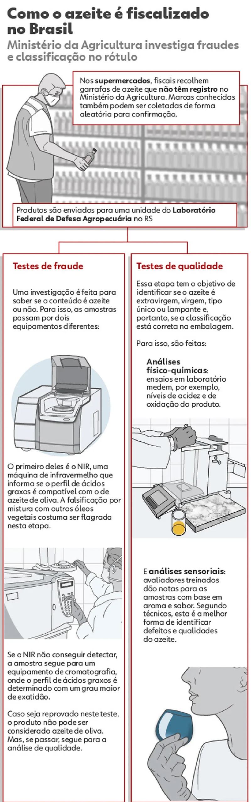 Passo a passo de como o azeite é fiscalizado — Foto: Arte/g1