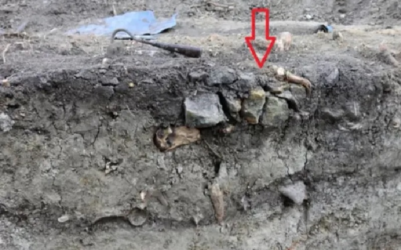  Seta indica pedras posicionadas no torso do cadáver. Segundo a superstição, o peso dos objetos impediria que o morto levantasse do túmulo |Reprodução/Facebook/Conservador Provincial de Monumentos de Lublin
