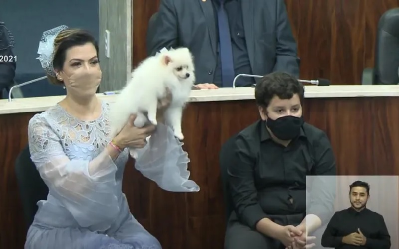 Cadela Marrion esteve no dia de votar e na cerimônia de posse de Sarto, em 2020 e 2021. — Foto: Reprodução