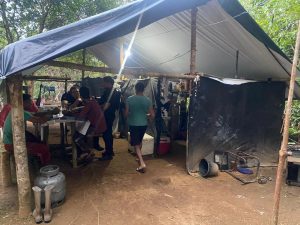 (fotos:Divulgação PC/PA)