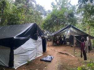 (fotos:Divulgação PC/PA)