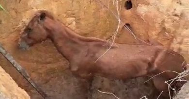 Skype_Picture_2024_10_17T18_13_54_446Z