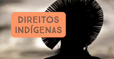 direitos-indigenas.jpg