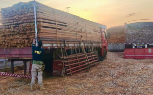 e155a57c-ab5a-473e-86f7-6fb01270e790