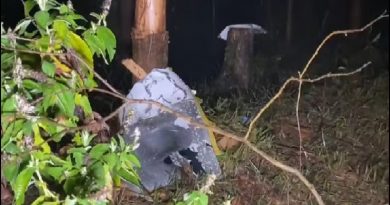 Destroços de avião de pequeno porte que caiu em Santa Branca, SP — Foto: Reprodução/TV Vanguarda