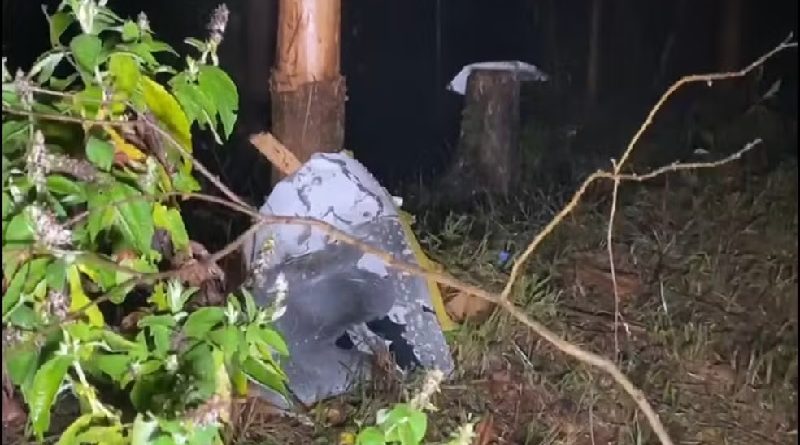 Destroços de avião de pequeno porte que caiu em Santa Branca, SP — Foto: Reprodução/TV Vanguarda