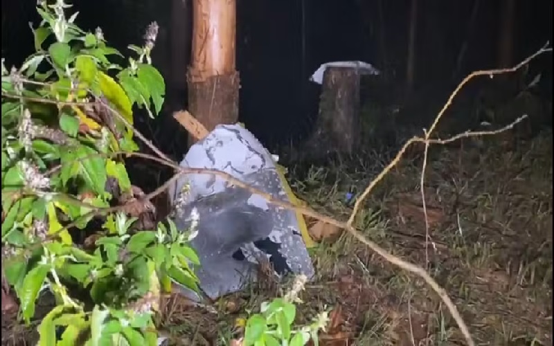 Destroços de avião de pequeno porte que caiu em Santa Branca, SP — Foto: Reprodução/TV Vanguarda 